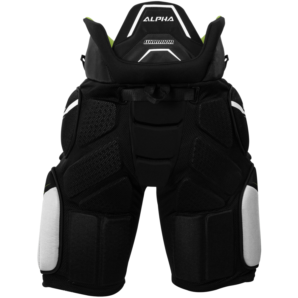 ALPHAGS2 BK A 2