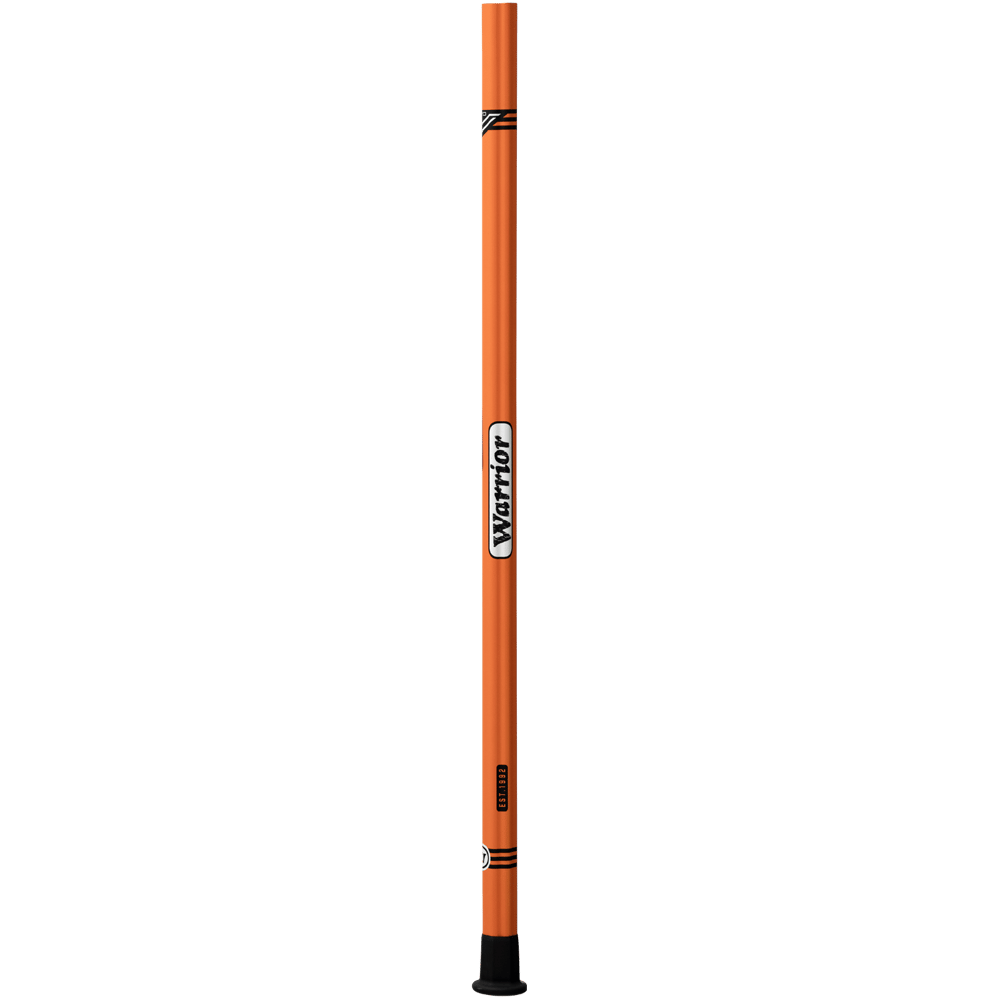 L CFEVOV6 OR P 1