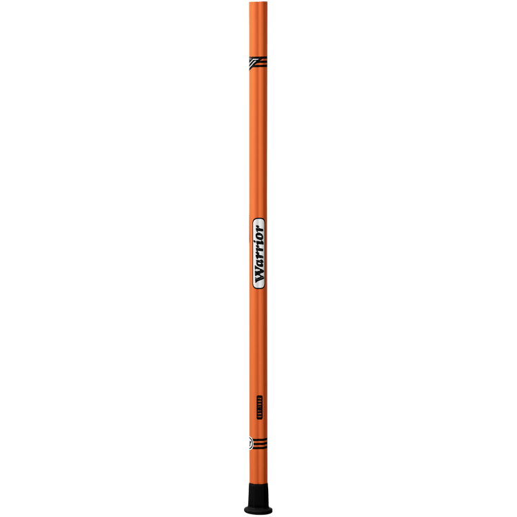 L CFEVOV6 OR P 1